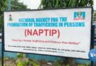 20 Rescued As Transnational Human Trafficking Gang Busted In Nigeria